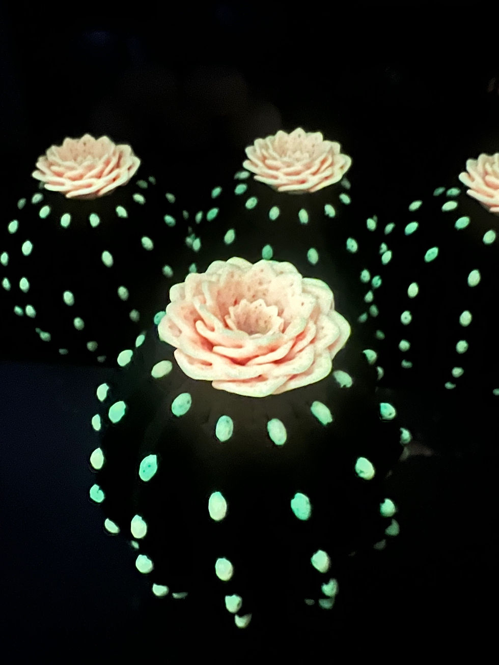 Thumbnail: Cactus Flower Glowing Tea Light