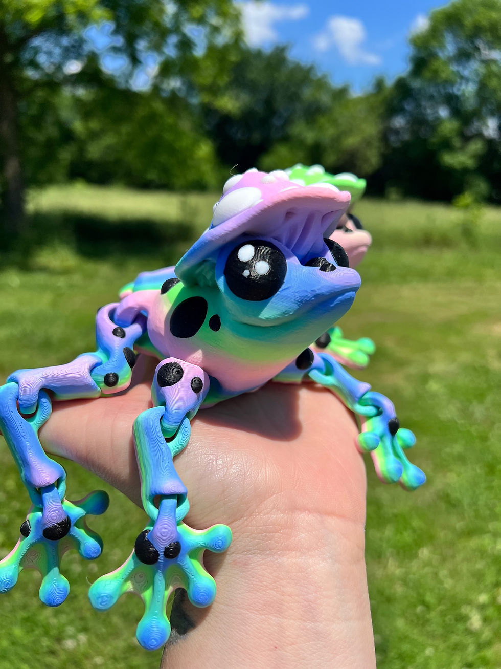 XL Mushroom Hat Rainbow Frog