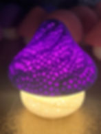 Thumbnail: Mushy Glow Submersible Container Light!
