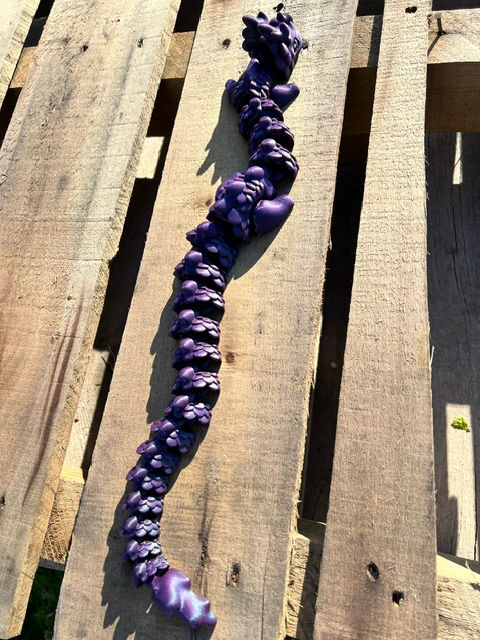 Thumbnail: Kaida Galaxy Dragon XL with XL Egg