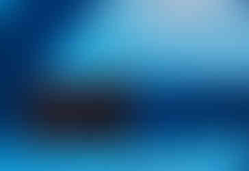 Artist Tag(s) for the Upside Down Garden Mural