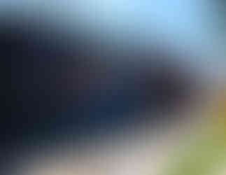 Roughned Odor Punch Mural