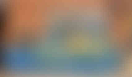 Starry Night Sunflower Mural