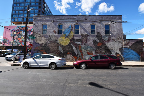 The Last Butterfly Ballet Mural