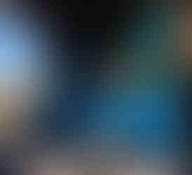 Upside Down Garden Mural