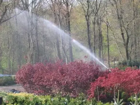 Sprinkler-repair-near-me3.jpg