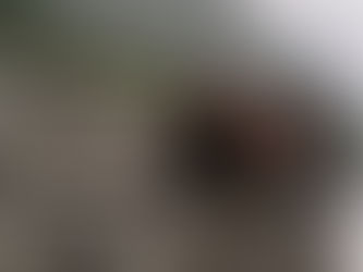 भारी बारिश से हिमाचल और उत्तराखंड बेहाल, टूट गया 90 साल पुराना ऐतिहासिक पुल