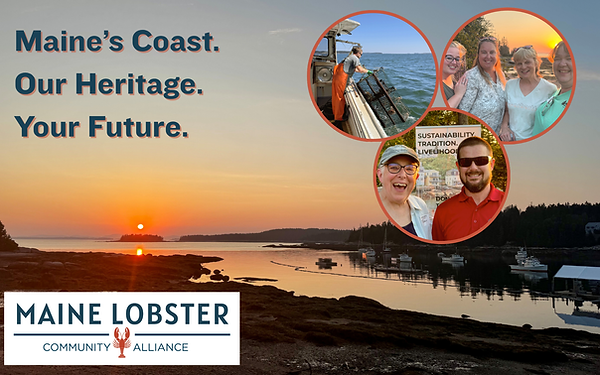 MLCA End of Year.png