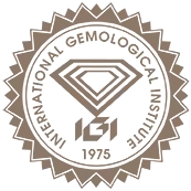 IGI_Logo_edited.png