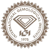 IGI_Logo_edited.png