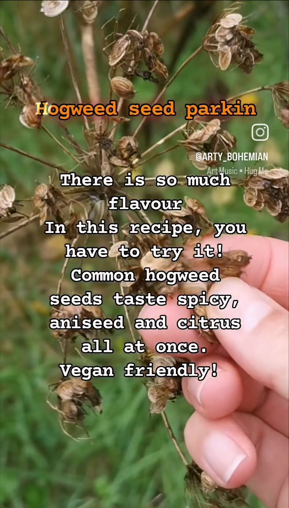 Hogweed seed parkin!