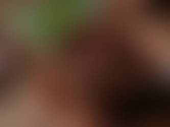 Ceremonial cacao cup filled with rich dark cacao