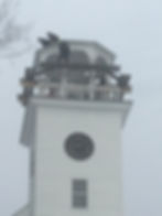 2_edited