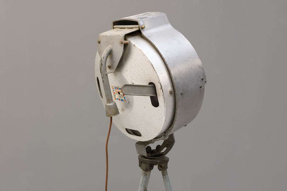 Thumbnail: British Bullfinch Floodlight