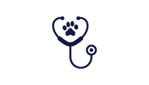 Icone stéthoscope