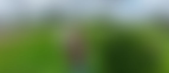 Halifax Walking Tour 4