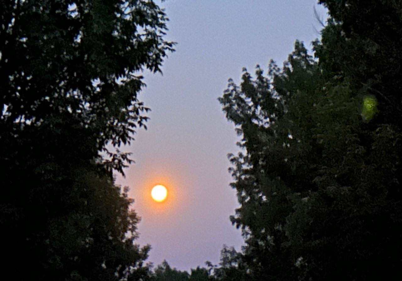 Full Buck Moon August 2026