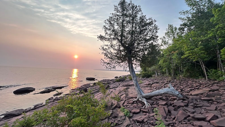Lake Superior Sunrise and the Cedar Tree