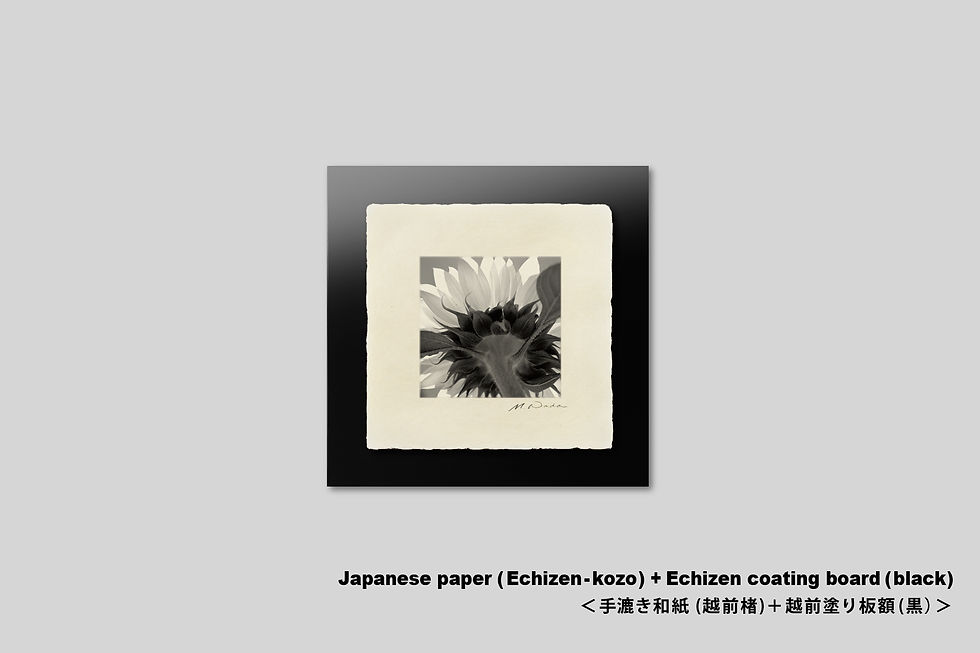 サムネイル： 写真,花,インテリア,ひまわり,ヒマワリ,向日葵,手漉き和紙,おしゃれ,プレゼント,モノクロ,インテリアフォト,アート,和モダン,和室,額入り,額装,写真販売,ギャラリー,IGREBOW