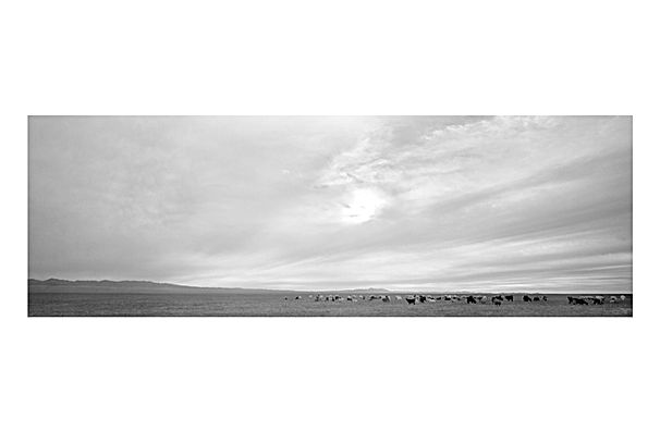 IGREBOWインテリアフォト