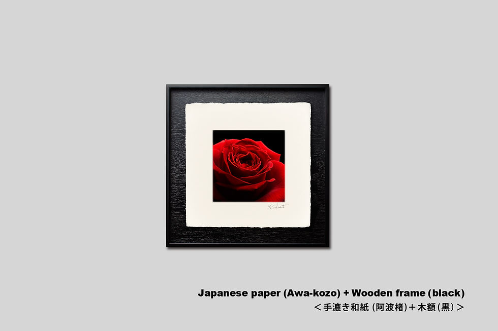 サムネイル： 写真,花,バラ,薔薇,赤,インテリアフォト,おしゃれ,プレゼント,手漉き和紙,和モダン,和室,アート,正方形,額入り,ギャラリー,壁掛け,額装,額縁,写真販売,IGREBOW