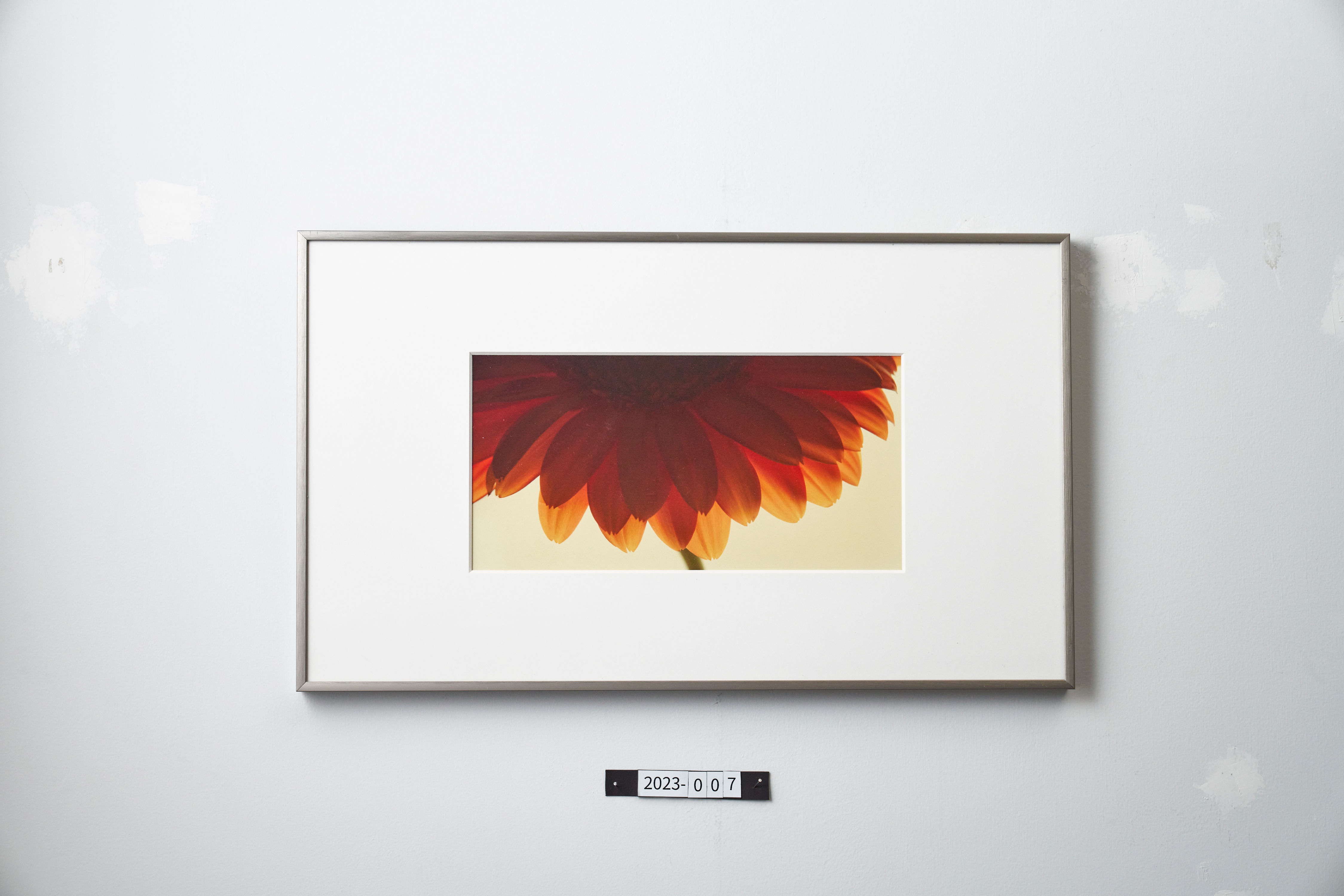 写真,IGREBOW,花,ガーベラ,オレンジ,インテリア,インテリアフォト,手漉き和紙,アート,額入り,額装,オリジナルプリント,和モダン,和室,模様替え,空間演出,フレーム,おしゃれ,プレゼント,写真販売,壁掛け,壁飾り