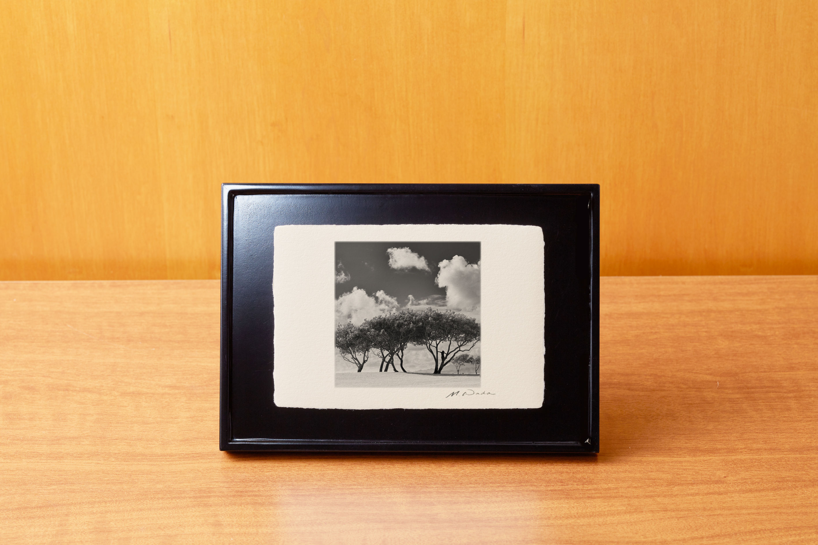 卓上サイズ,デスクトップ,越前和紙,手漉き和紙,写真,風景,ハワイ,ビーチ,海,クアロアビーチ,インテリアフォト,おしゃれ,モダン,卓上額,置き型,玄関,オリジナルプリント,フォトフレーム,プレゼント,ギフト