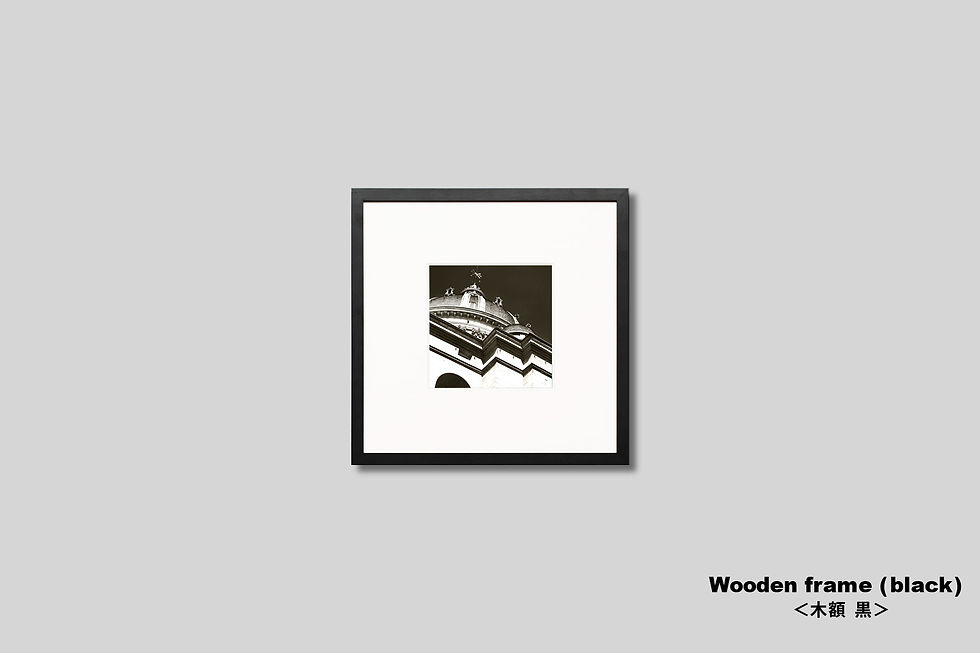 サムネイル： 写真,額縁,インテリアフォト,フランス,学士院の屋根,風景,IGREBOW,GallerySB,丸い屋根,インテリア,アート,フレーム,額入り,額装,モノクロ,壁掛け,壁飾り,正方形,フォトフレーム,おしゃれ,モダン,プレゼント,ウォールアート