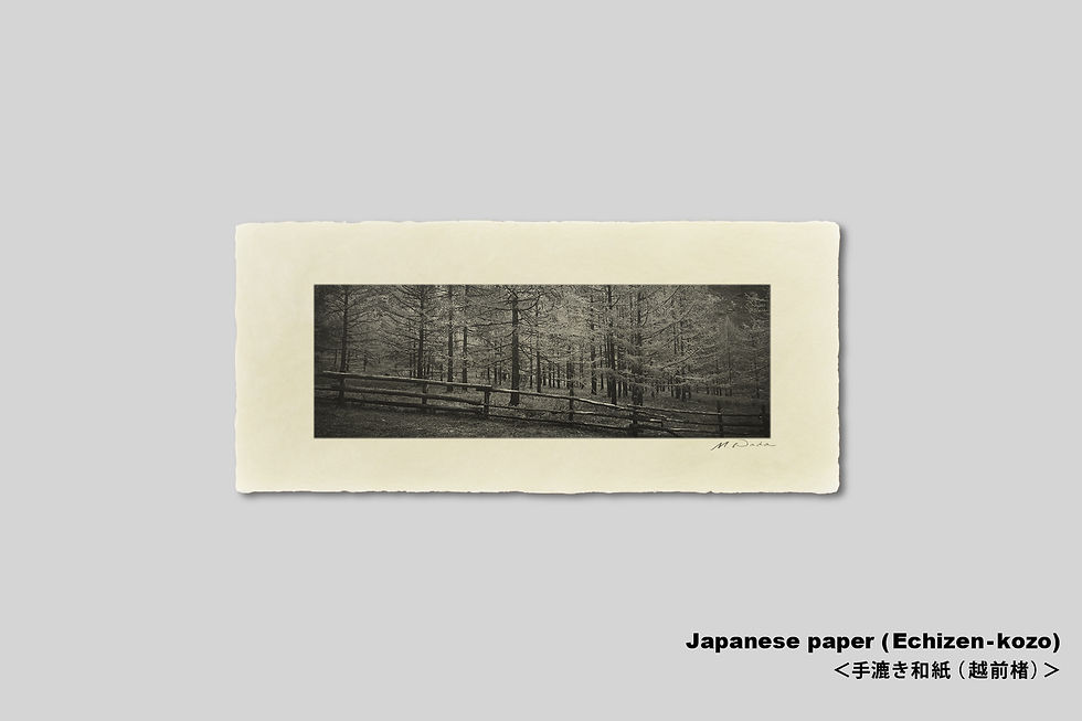 サムネイル： 写真,モンゴル,森,インテリア,モノクロ,風景,アート,ギャラリー,IGREBOW,写真販売,横長,額入り,額装,額縁,おしゃれ,プレゼント,手漉き和紙,和モダン,和室,新築祝い,ギフト