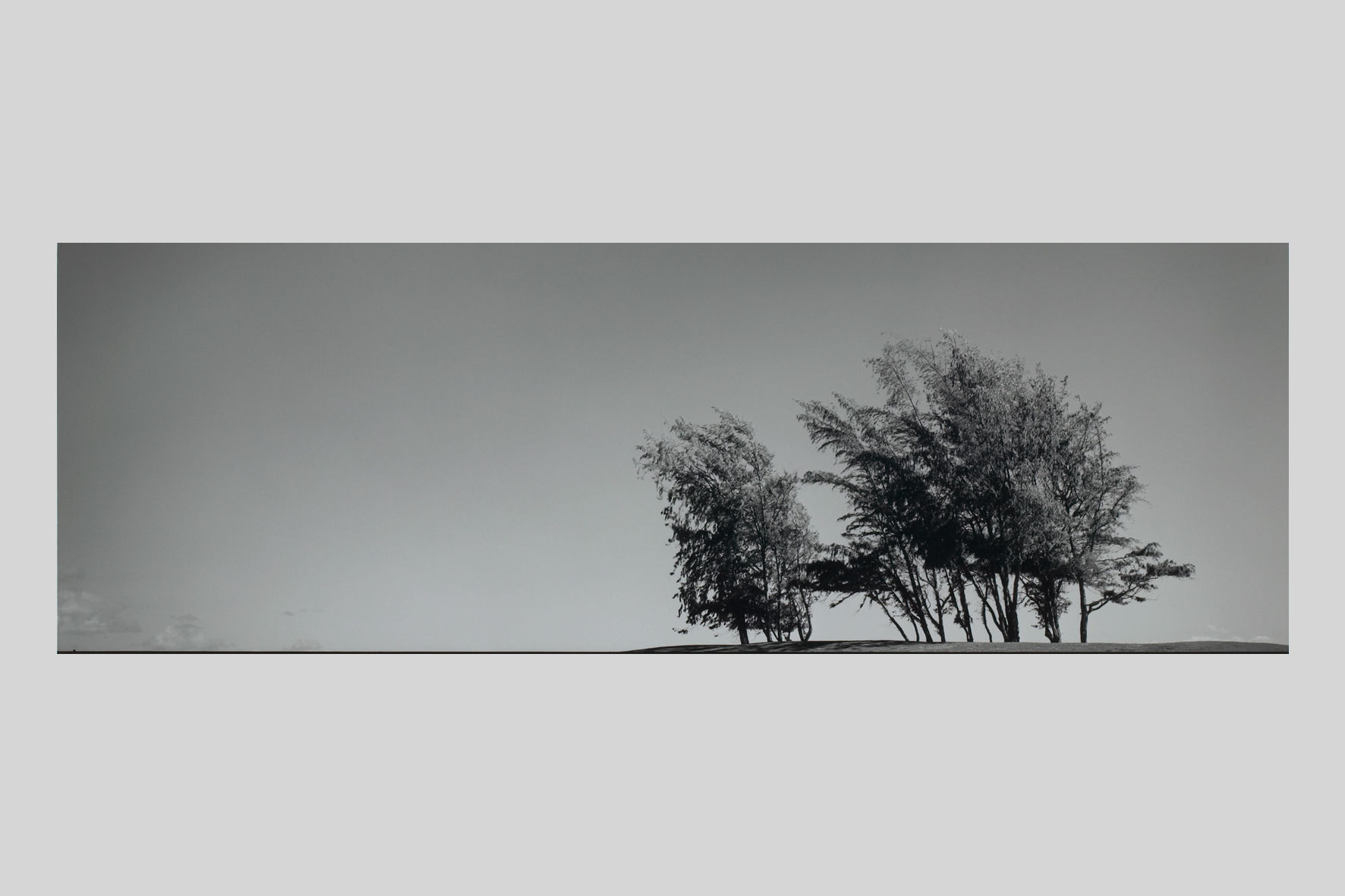 写真,ハワイ,海,インテリアフォト,ビーチ,海辺,木,風景,オアフ島,トロピカル,リゾート,南の島,南国,アート,額入り,額装,手漉き和紙,オリジナルプリント,モノクロ,横長,フレーム,おしゃれ,プレゼント,壁掛け,壁飾り