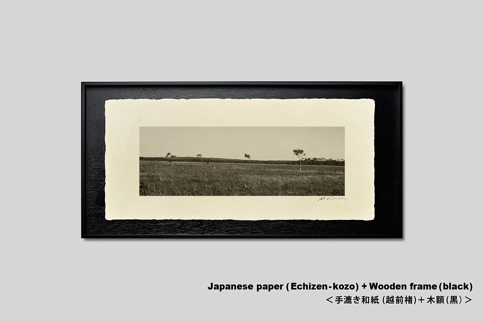 サムネイル： 北海道　広大な釧路湿原