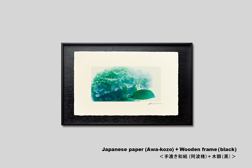 サムネイル： 手漉き和紙,インテリア,花,写真,フラワー,アジサイ,モダン,インテリアフォト,アート,額縁,フレーム,額装,オリジナルプリント,アートポスター,アートフレーム,和室,おしゃれ,壁掛け,壁飾り,装飾,プレゼント