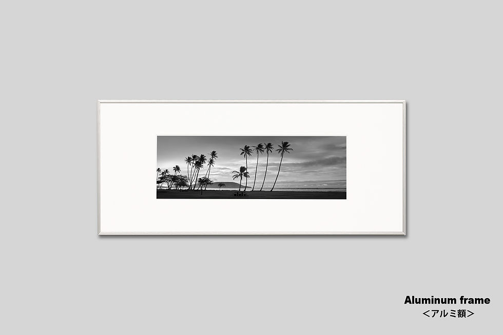 サムネイル： ハワイ,海,ヤシの木,インテリア,写真,風景,モノクロ,ビーチ,南国,リゾート,トロピカル,インテリアフォト,アート,額入り,額装,オリジナルプリント,アートフレーム,フォトフレーム,おしゃれ,モダン,横長,壁掛け,壁飾り,装飾,プレゼント,新築祝い