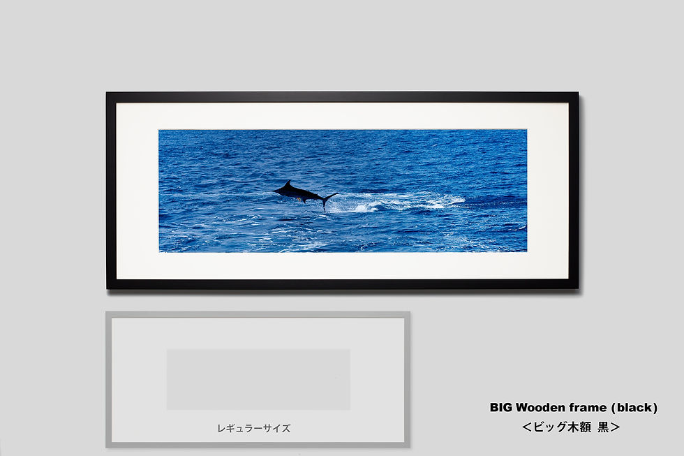 サムネイル： 写真,カジキ,ジャンプインテリアフォト,海,夏,マーリン,手漉き和紙,和モダン,和室,横長,アート,額入り,ギャラリー,IGREBOW,写真販売,写真を飾る,額装,額縁,おしゃれ,プレゼント
