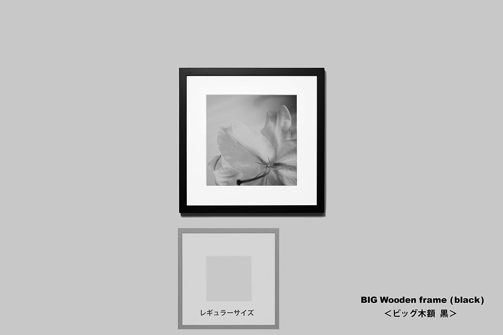サムネイル： 写真,花,インテリア,ユリ,ゆり,百合,カサブランカ,手漉き和紙,おしゃれ,プレゼント,モノクロ,インテリアフォト,アート,ギャラリー,IGREBOW,和モダン,和室,額入り,額装,写真販売