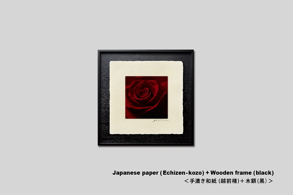 サムネイル： 写真,花,バラ,薔薇,赤,インテリアフォト,おしゃれ,プレゼント,手漉き和紙,和モダン,和室,アート,正方形,額入り,ギャラリー,壁掛け,額装,額縁,写真販売,IGREBOW