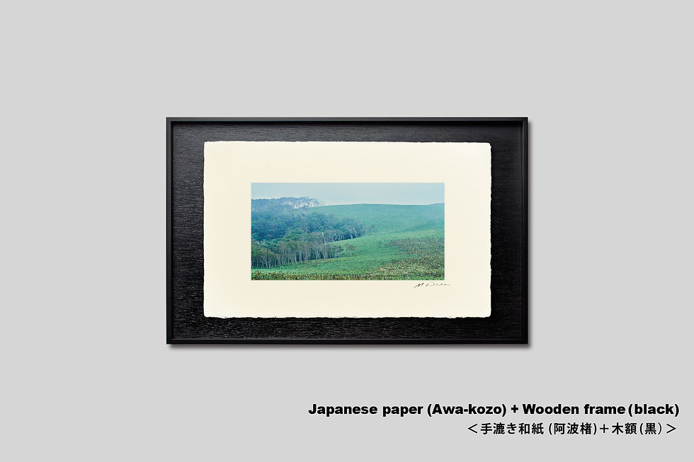 サムネイル： 写真,IGREBOW,北海道,釧路,尻羽岬,平原,原生林,インテリア,インテリアフォト,手漉き和紙,アート,額入り,額装,オリジナルプリント,和モダン,和室,模様替え,空間演出,フレーム,おしゃれ,プレゼント,写真販売,壁掛け,壁飾り