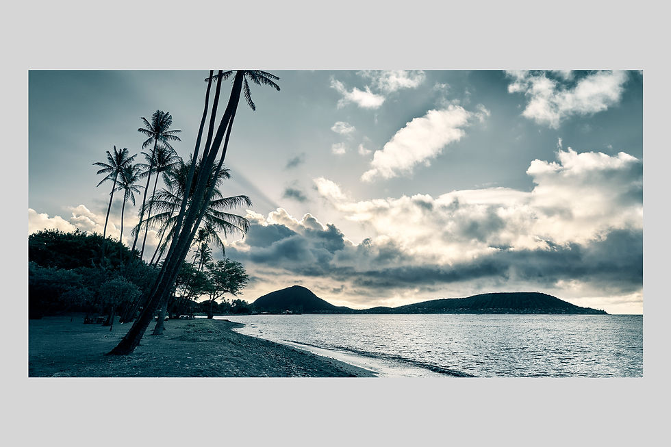 サムネイル： 写真,インテリア,ハワイ,海,手漉き和紙,ビーチ,風景,ヤシの木,砂浜,夜明け,トロピカル,リゾート,ポスター,インテリアフォト,大きいサイズ,額装,和室,オリジナルプリント,アート,おしゃれ,モダン,壁掛け,プレゼント