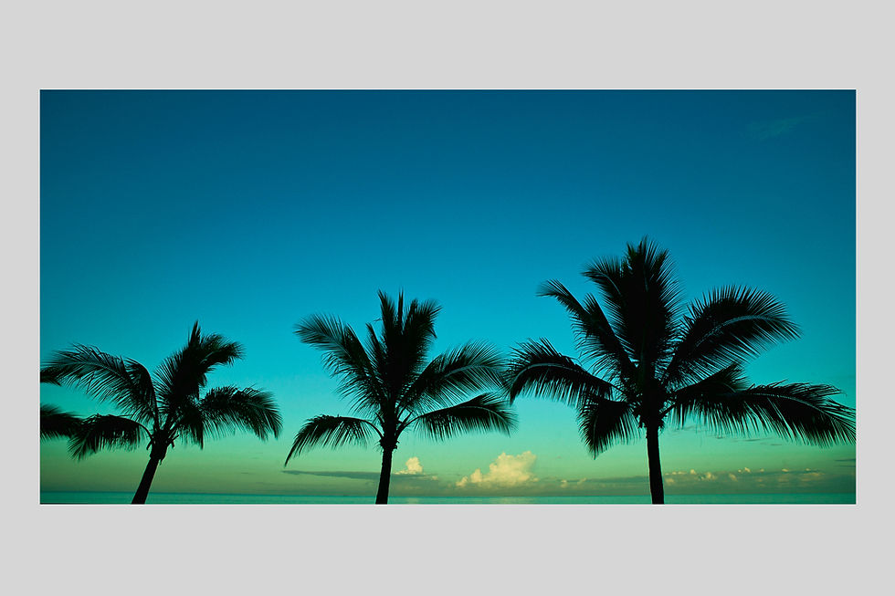 手漉き和紙,写真,インテリア,ニューカレドニア,風景,ヤシの木,南国,インテリアフォト,アート,壁掛け,オリジナルプリント,アートフレーム,おしゃれ,モダン,壁飾り,装飾,額入り,額装,フォトフレーム,ギフト