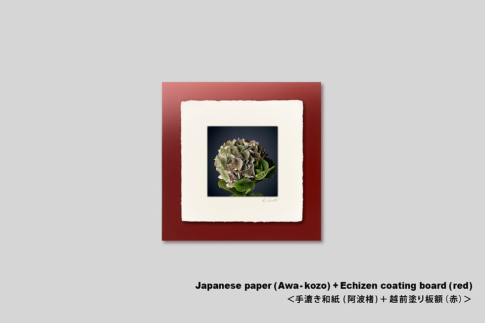サムネイル： 写真,花,アジサイ,あじさい,紫陽花,インテリアフォト,おしゃれ,プレゼント,お祝い,手漉き和紙,和モダン,和室,アート,正方形,額入り,ギャラリー,壁掛け,額装,額縁,写真販売,IGREBOW