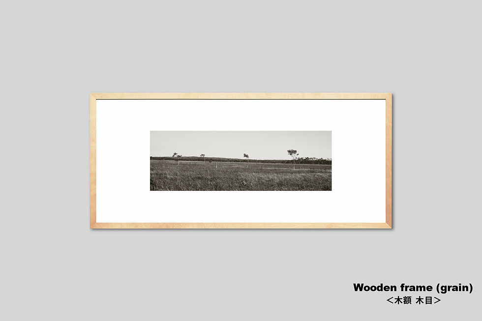 サムネイル： 北海道　広大な釧路湿原