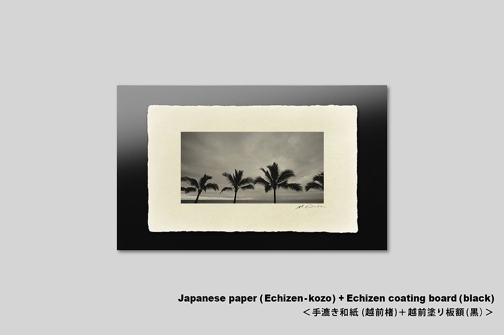 サムネイル： 写真,ヤシの木,ニューカレドニア,インテリア,海辺,リゾート,南の島,南国,空,アート,額入り,壁掛け,額縁,手漉き和紙,和モダン,和室,おしゃれ,プレゼント,ギャラリー,写真販売,IGREBOW