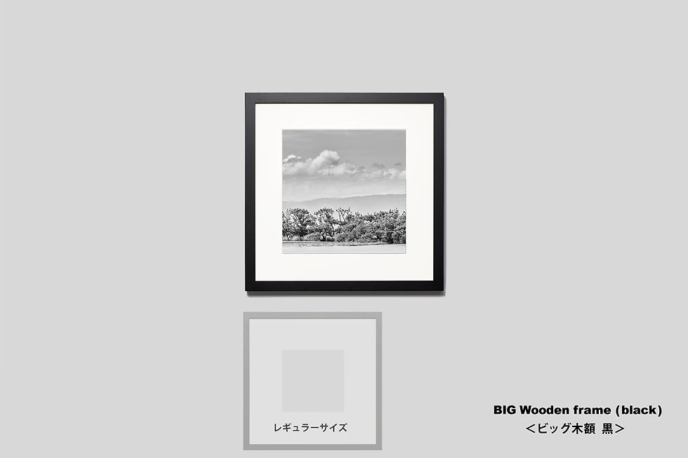 サムネイル： 写真,IGREBOW,琵琶湖,湖,インテリア,インテリアフォト,モノクロ,正方形,手漉き和紙,アート,額入り,額装,オリジナルプリント,和モダン,和室,フレーム,おしゃれ,プレゼント,写真販売,壁掛け,壁飾り