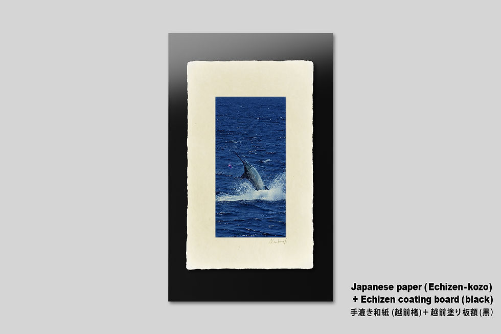 サムネイル： 写真,カジキマグロ,ジャンプ,海,アート,インテリア,IGREBOW,手漉き和紙,和モダン,和室,ギャラリー,写真販売,額入り,額装,額縁,プレゼント,新築祝い,GallerySB