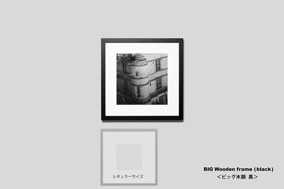 サムネイル： 写真,フランス,インテリア,古城,城,ロワール,手漉き和紙,モノクロ,インテリアフォト,アート,和モダン,和室,額入り,額装,おしゃれ,プレゼント,写真販売,ギャラリー,IGREBOW