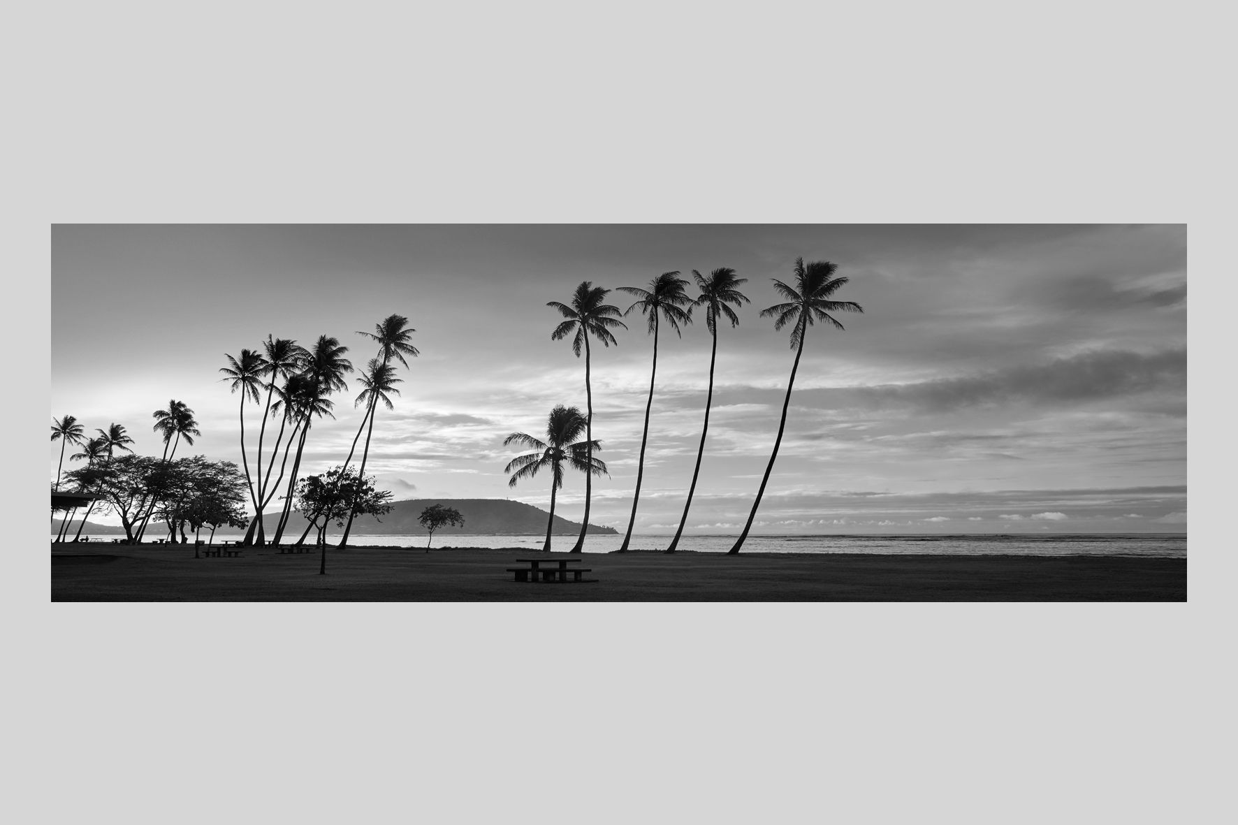 写真,ハワイ,海,インテリアフォト,ビーチ,ヤシの木,風景,オアフ島,トロピカル,リゾート,南の島,南国,アート,額入り,額装,手漉き和紙,オリジナルプリント,モノクロ,横長,フレーム,おしゃれ,プレゼント,壁掛け,壁飾り