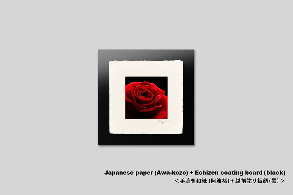 サムネイル： 写真,花,バラ,薔薇,赤,インテリアフォト,おしゃれ,プレゼント,手漉き和紙,和モダン,和室,アート,正方形,額入り,ギャラリー,壁掛け,額装,額縁,写真販売,IGREBOW