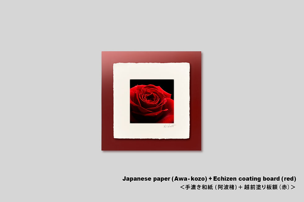 サムネイル： 写真,花,バラ,薔薇,赤,インテリアフォト,おしゃれ,プレゼント,手漉き和紙,和モダン,和室,アート,正方形,額入り,ギャラリー,壁掛け,額装,額縁,写真販売,IGREBOW