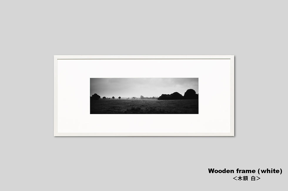 サムネイル： 写真,田園風景,フランス,インテリアフォト,モノクロ,ブルターニュ,アート,ギャラリー,IGREBOW,写真販売,額入り,額装,額縁,おしゃれ,プレゼント,手漉き和紙,和モダン,和室
