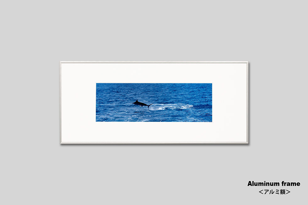 サムネイル： 写真,カジキ,ジャンプインテリアフォト,海,夏,マーリン,手漉き和紙,和モダン,和室,横長,アート,額入り,ギャラリー,IGREBOW,写真販売,写真を飾る,額装,額縁,おしゃれ,プレゼント
